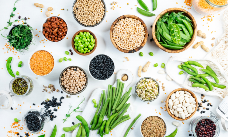 Agricultural Micronutrients Market Size and Share Report 2024-2032