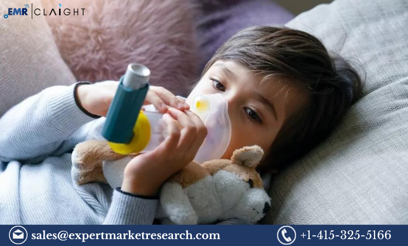 Nebulizer Market Size, Share, Growth, Report and Forecast 2024-2032