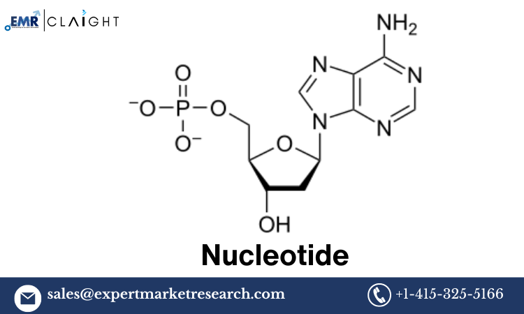 Nucleotide Price Forecast Trend Report: Insights and Projections