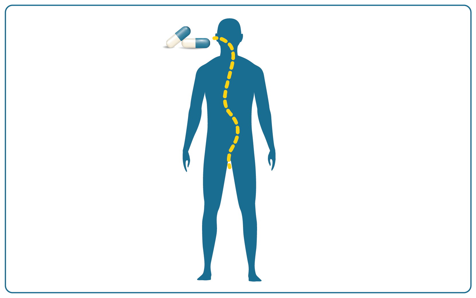 PK Clinical Trials