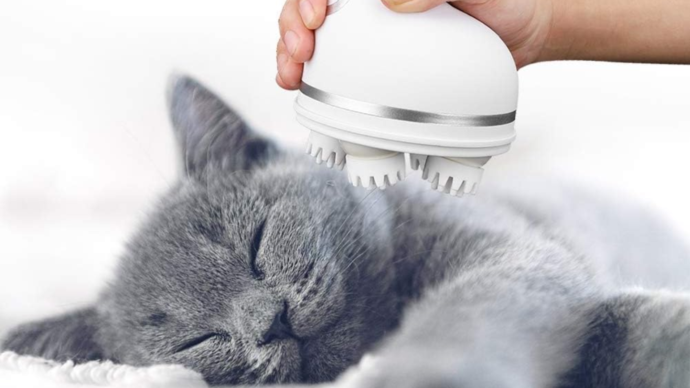 Pet Paw Head Massager