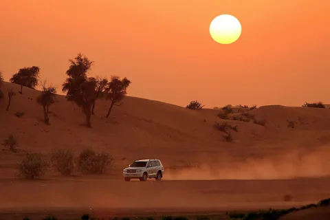 The Rising Popularity of Private Morning Desert Safaris in Dubai