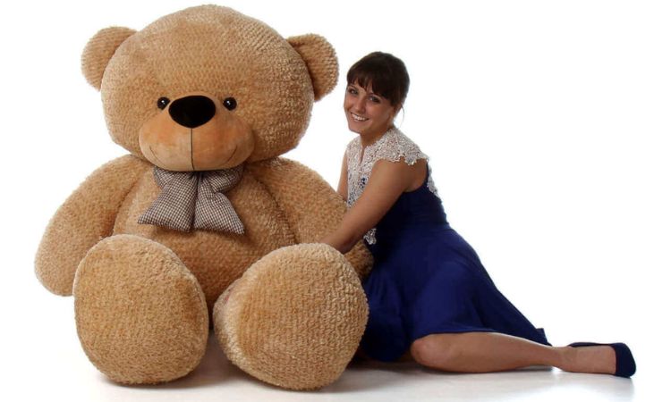 What Colors Make Teddy Bears the Perfect Romantic Gift?