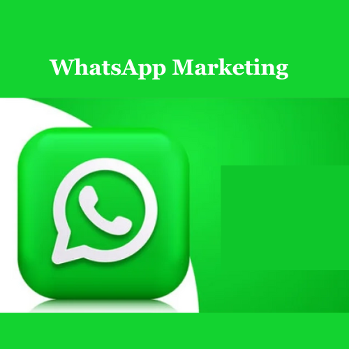 WhatsApp Bulk SMS Marketing: Membership Deals and Class Updates for Gyms