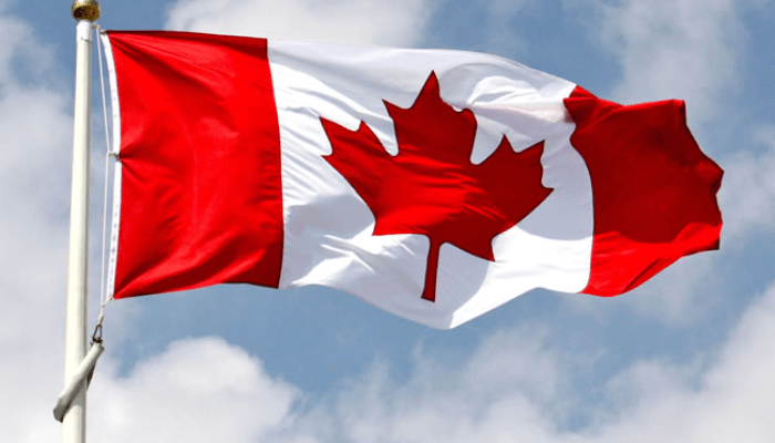 Navigating Canada Immigration: Why Consultants Are Essential for Pakistani Applicants