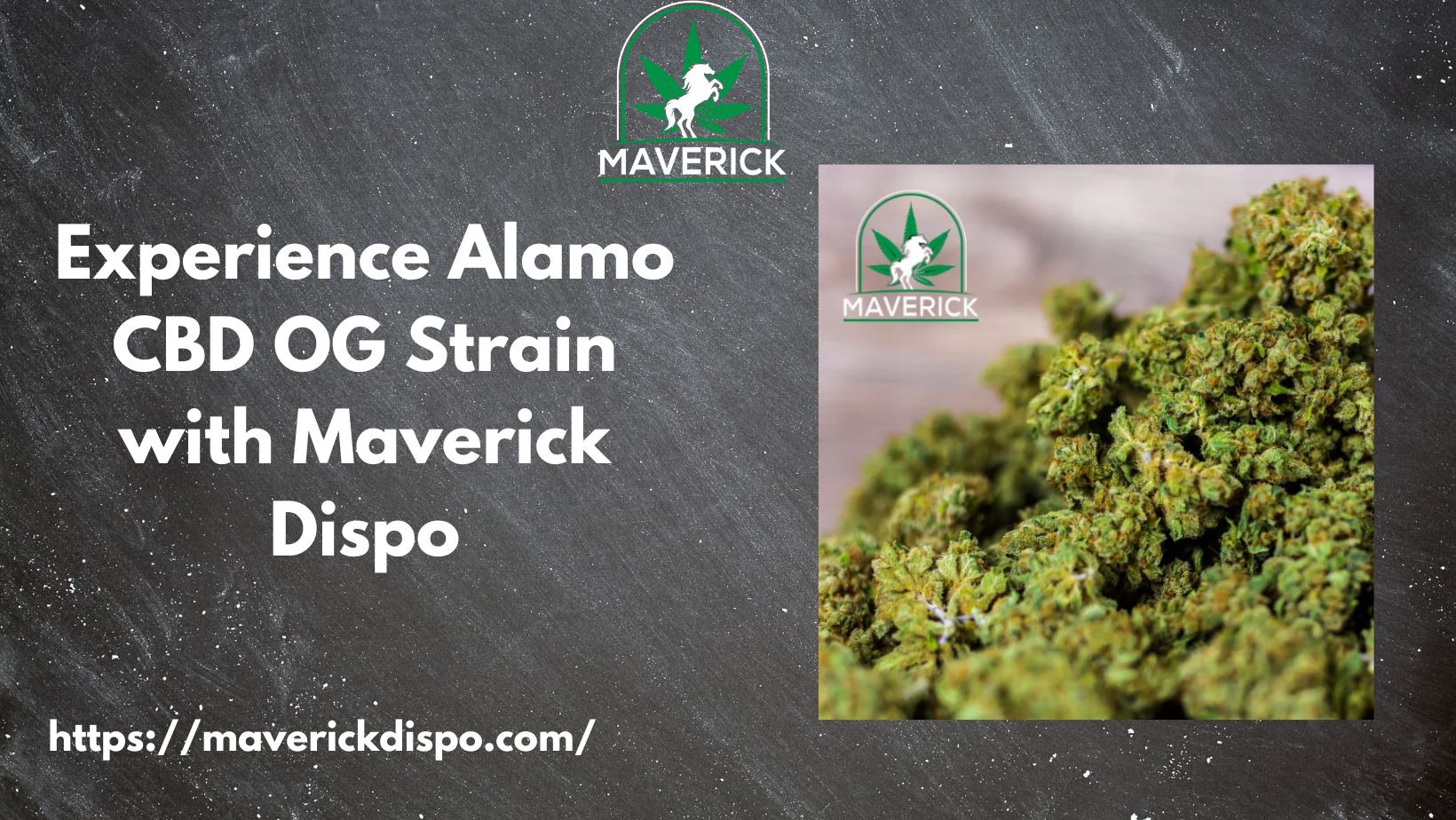 Alamo CBD OG Strain