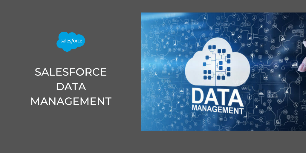 Master Data Management with Workbench in Salesforce