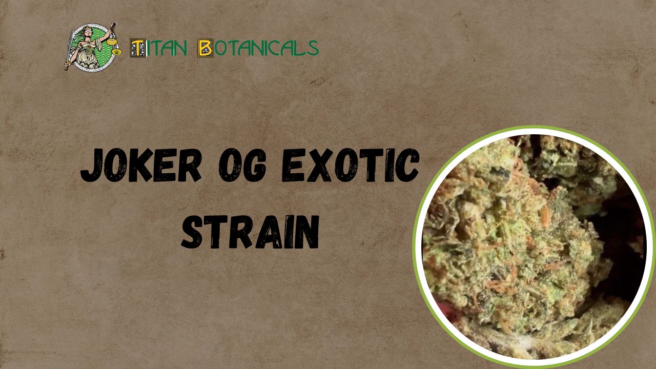 Joker OG Exotic Strain