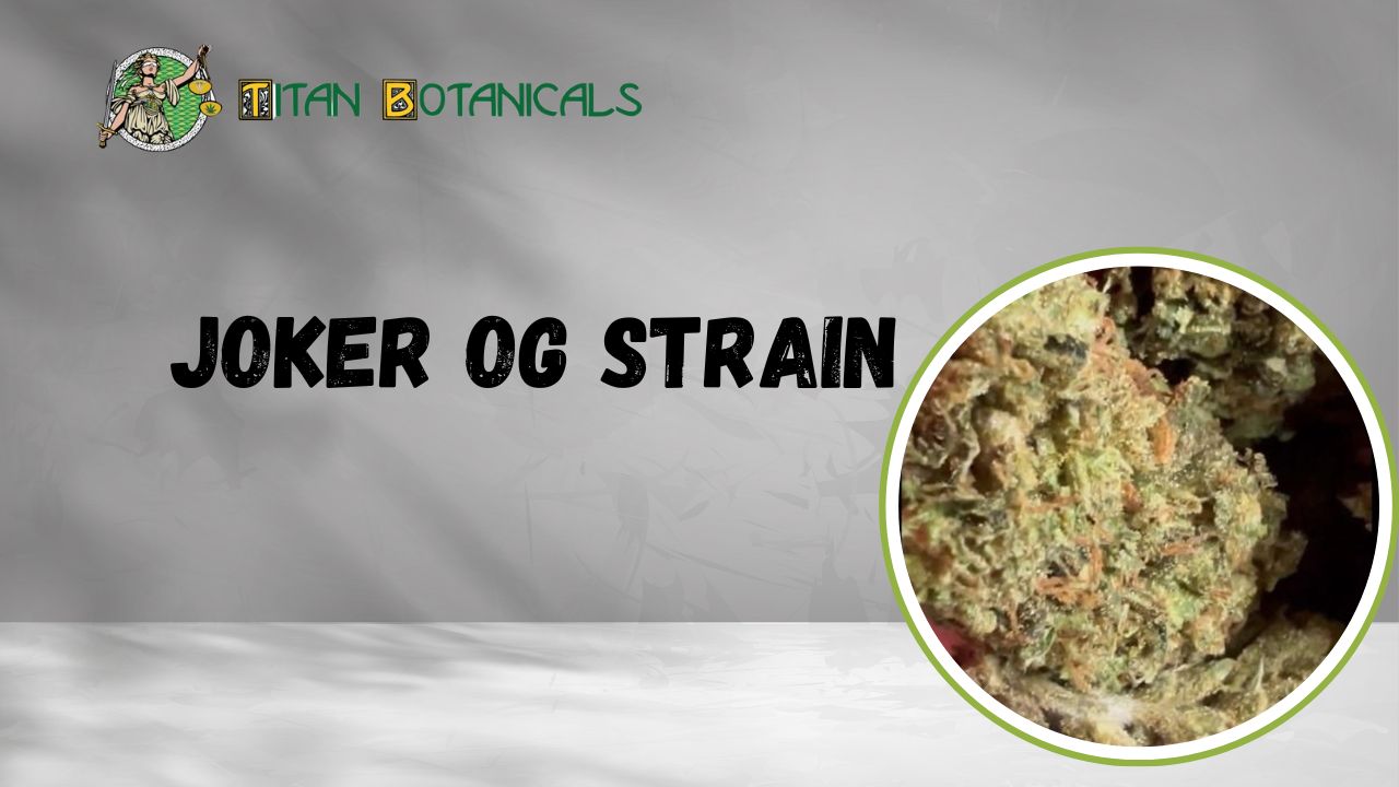 Joker OG strain