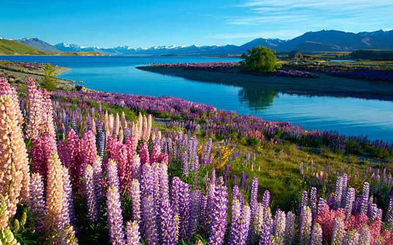 Top Tourist Attractions to Visit with Your New Zealand Visit Visa