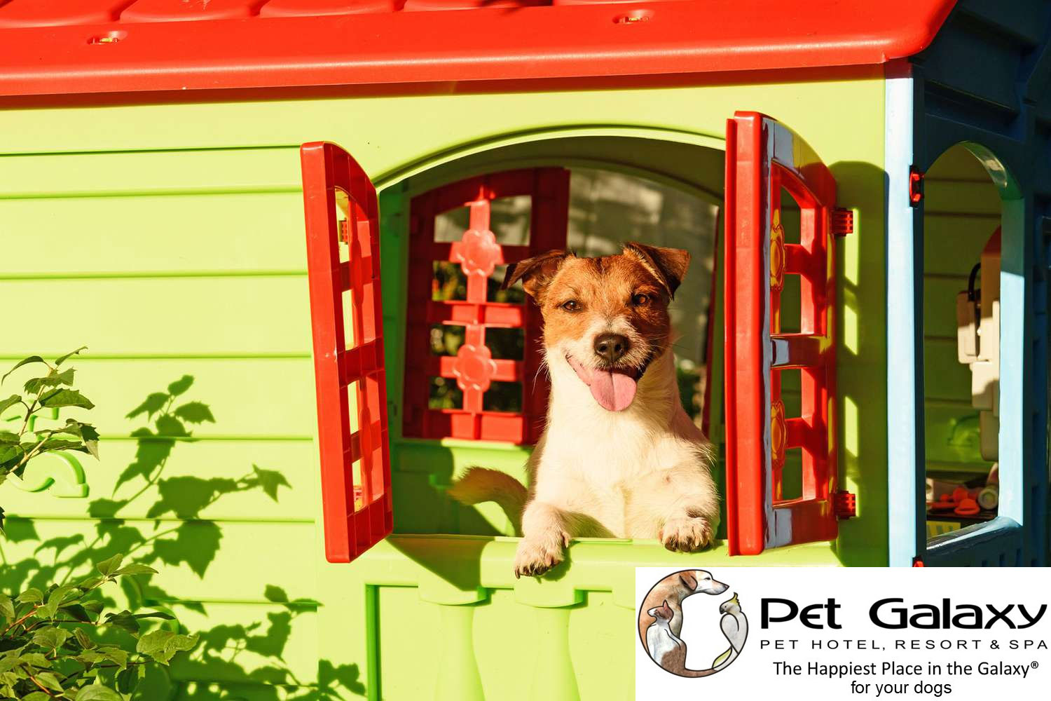 private air-conditioned pet house TX