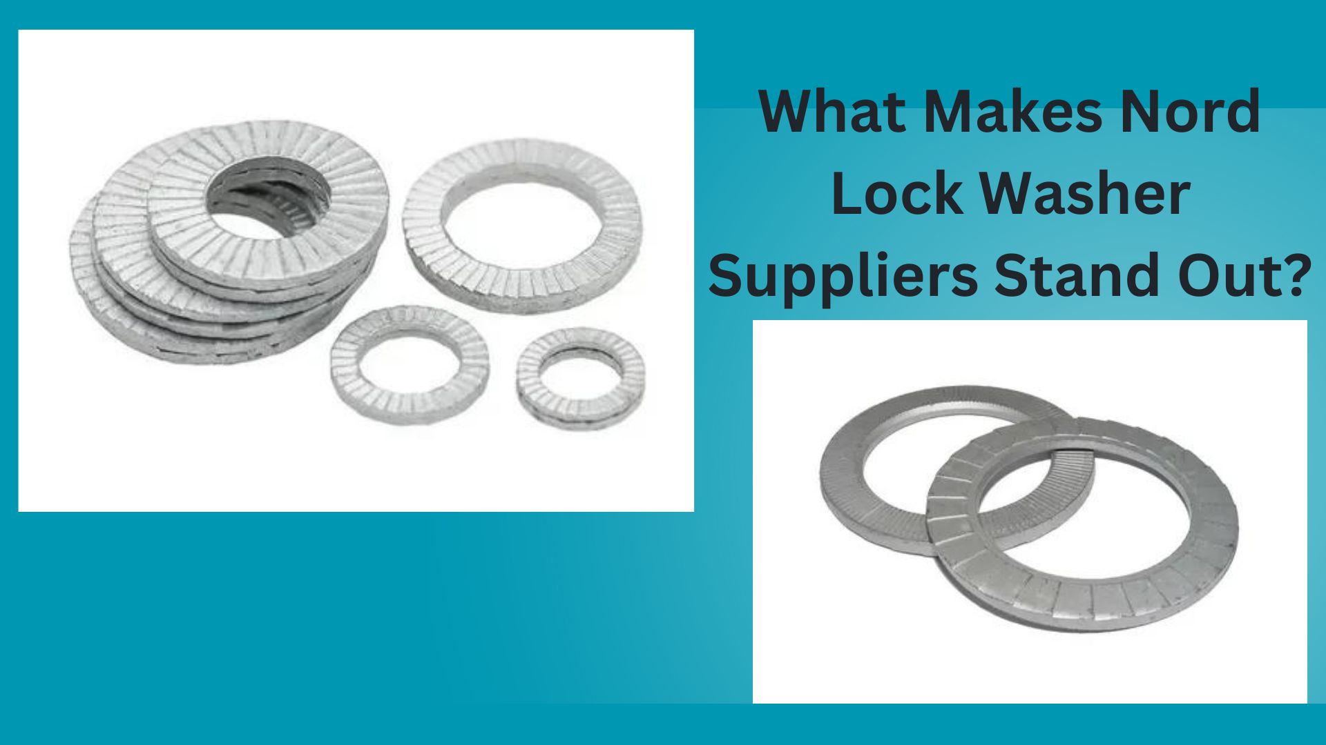 What Makes Nord Lock Washer Suppliers Stand Out?