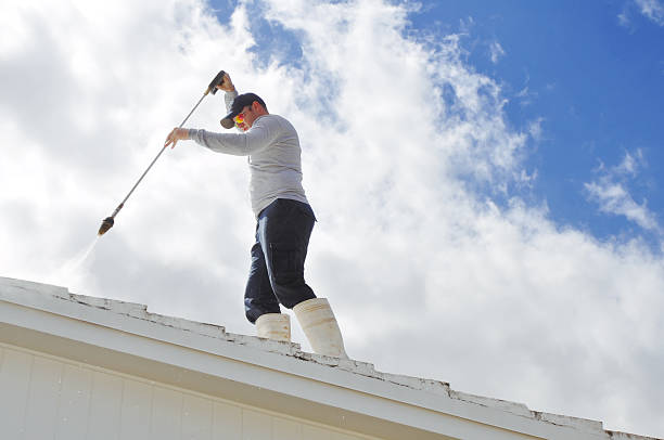 Roof Cleaning