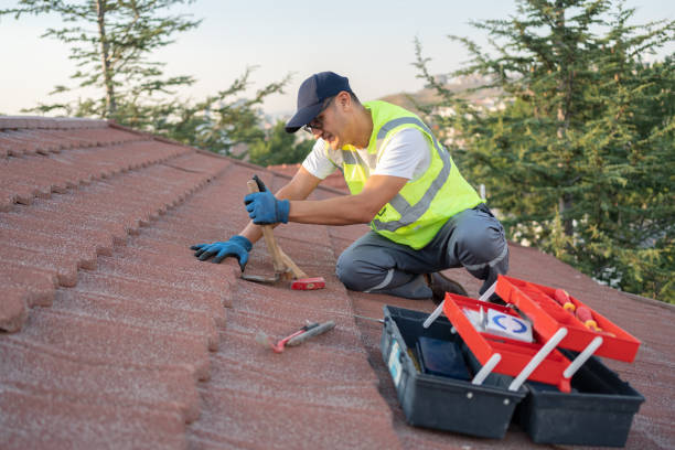 Roof Installation