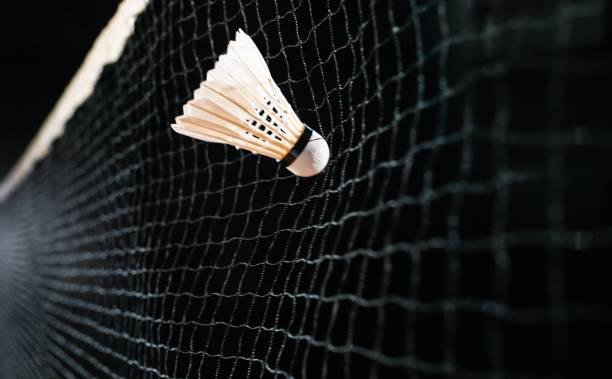 Badminton Net