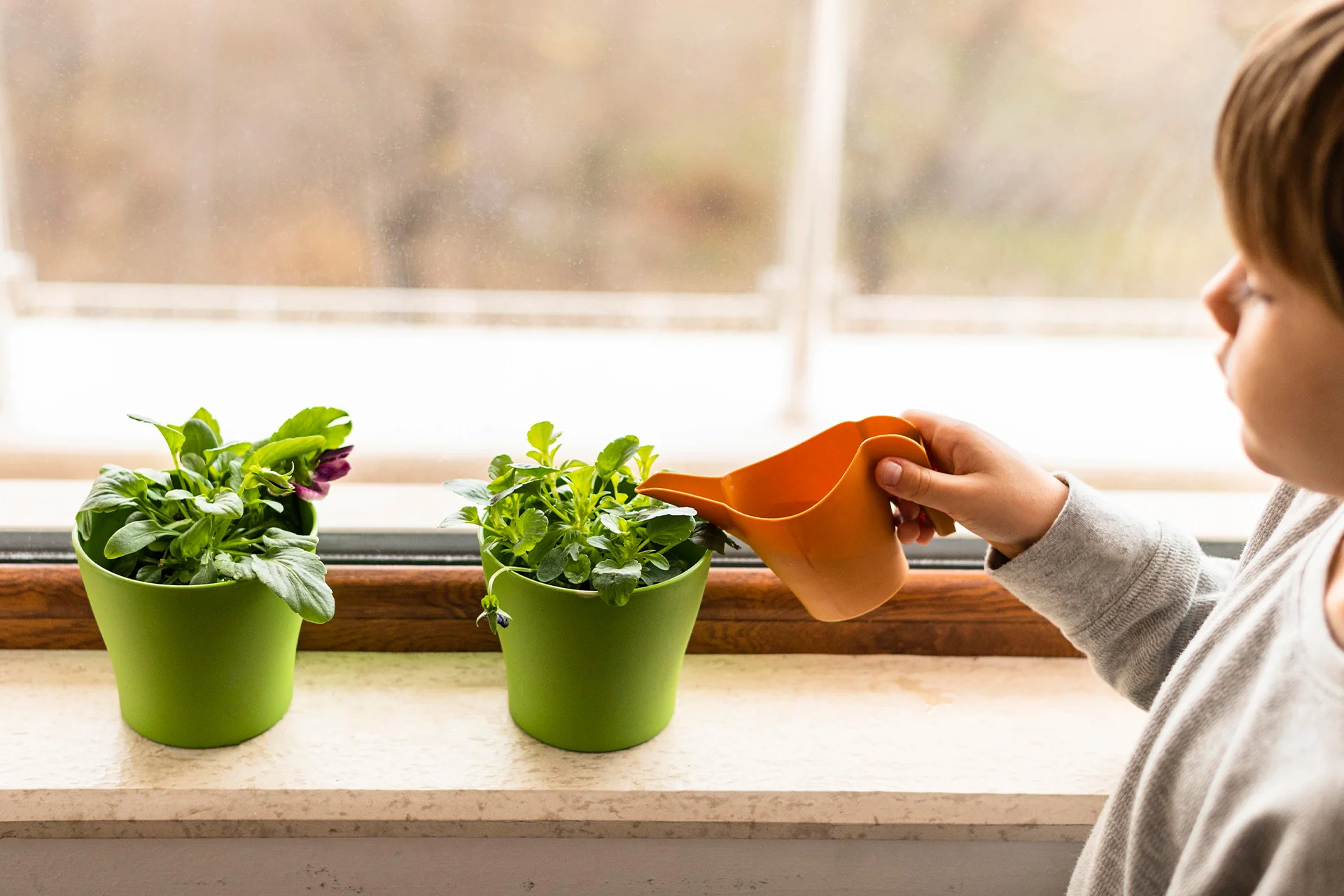 Hydroponics Farming in the USA: A Growing Trend for Sustainable Agriculture