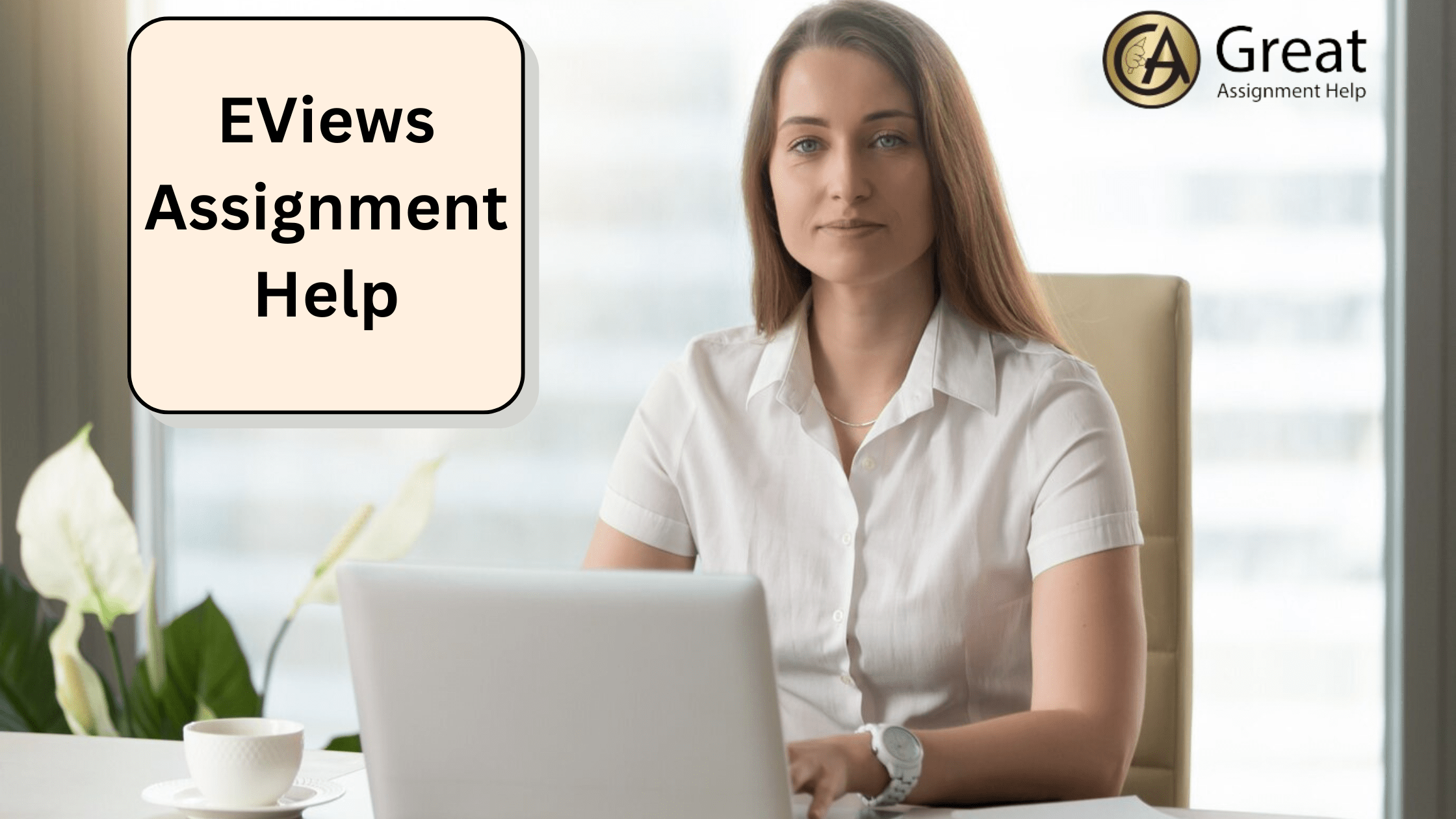 EViews assignment help